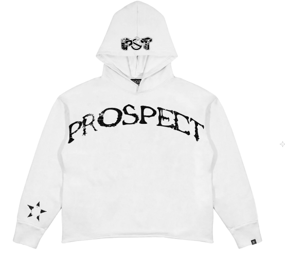 POT / Did You Know? Cropped Hoodie